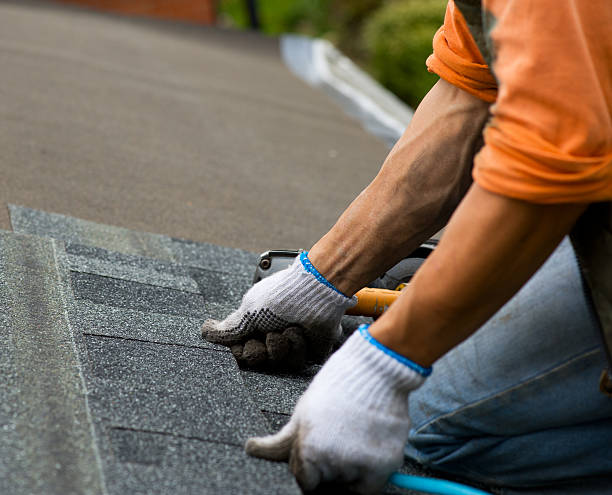 Best Gutter Installation and Roofing  in Butler, GA