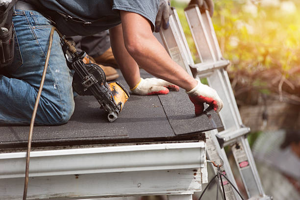 Roof Gutter Cleaning in Butler, GA